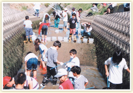 七ヶ用水水族館（清掃ボランティア）