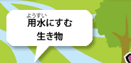 用水（ようすい）に住む生き物